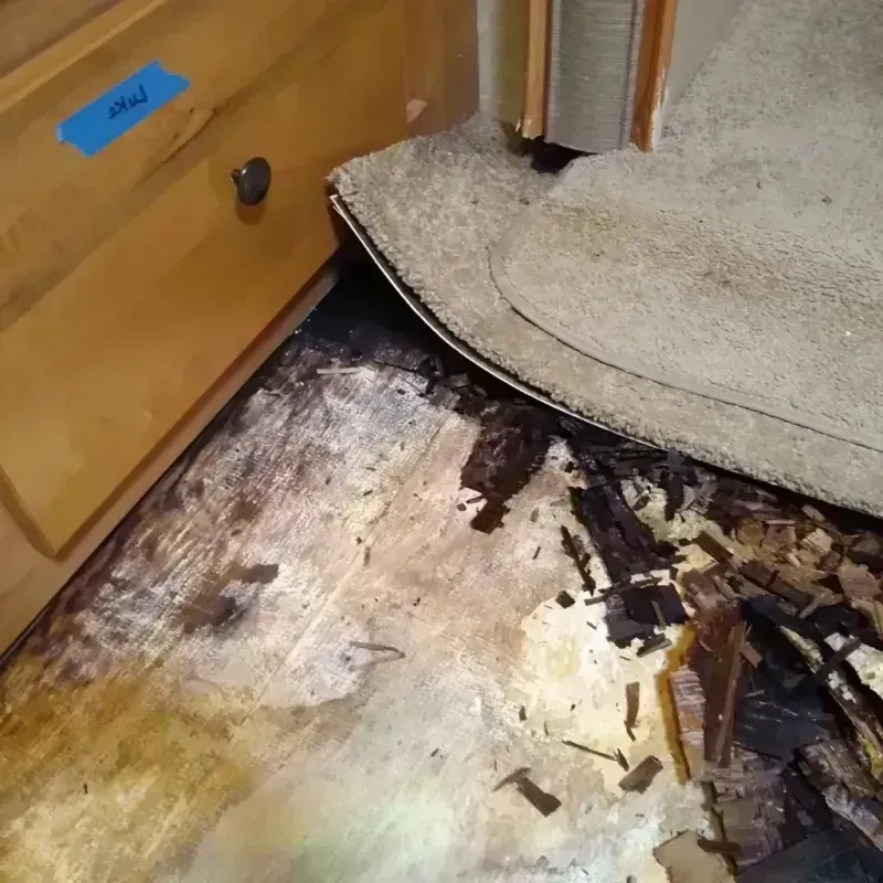 Wood Floor Water Damage in Chester, NJ